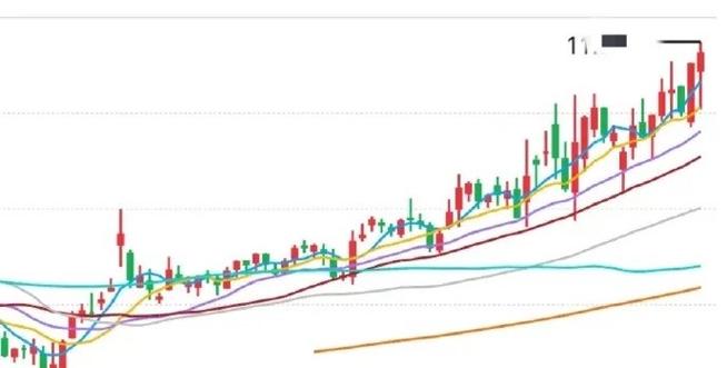 债券的发行目的（债券和股票发行目的不同）