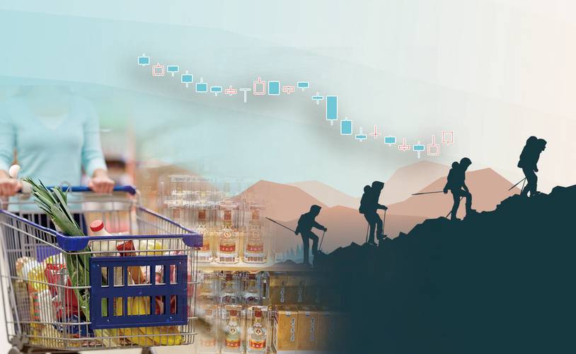 基金000877历史净值（华泰柏瑞品质优选混合a）