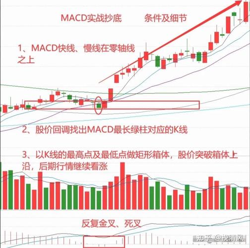 北京科拓300858（科拓股份股票代码）