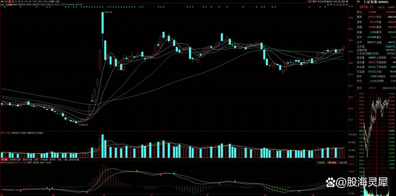 006373基金净值查询（008145基金今天净值查询）