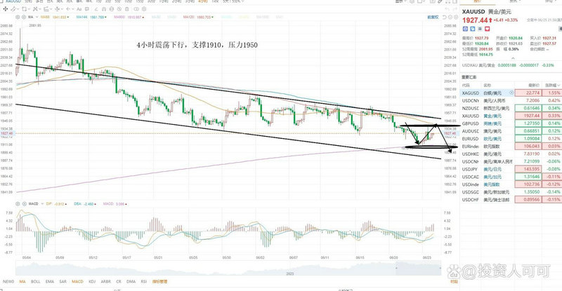 008133基金净值 008133基金净值查询