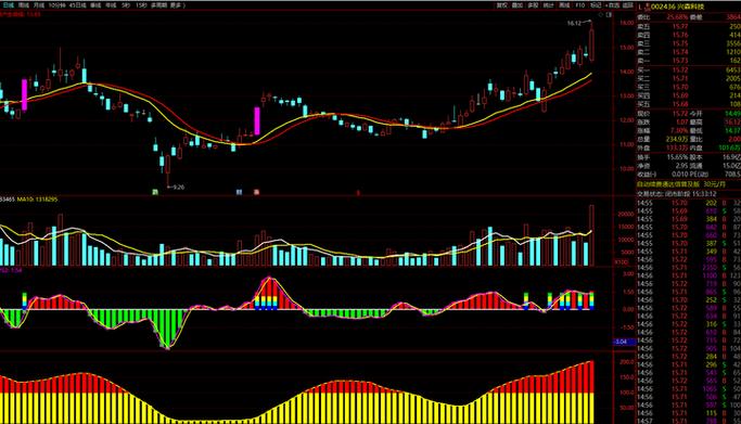 农业龙头前三名上市公司（中国农业上市公司名