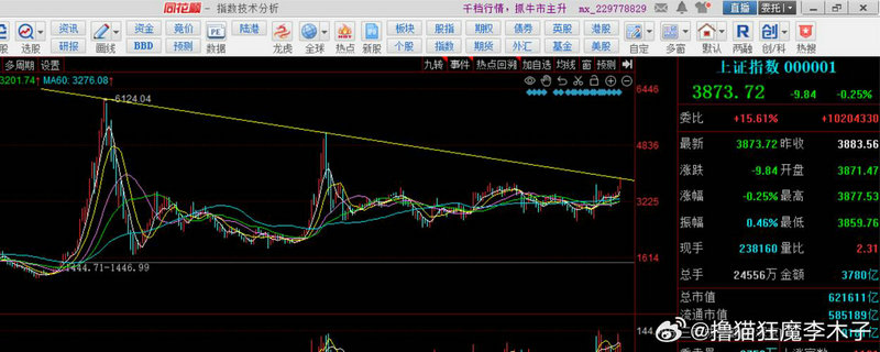股票狗庄是什么意思（庄股为什么会大跌）