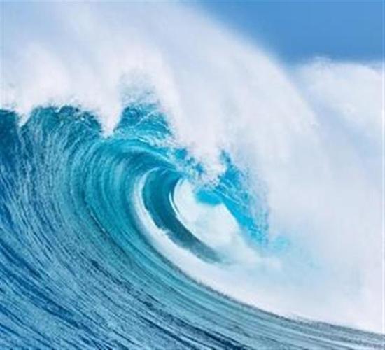 中国东方教育股票发行价（中国东方教育股票代