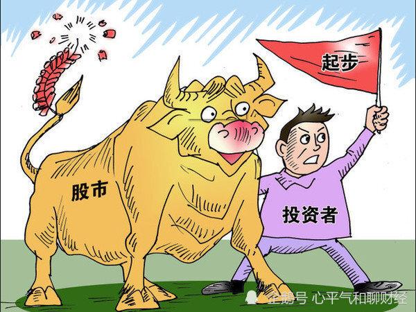 公司股份各占百分之五十（公司股份最低可以占