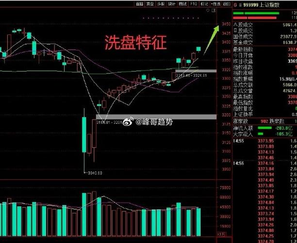 鲁能集团转让股份（东旭光电大股东走了）