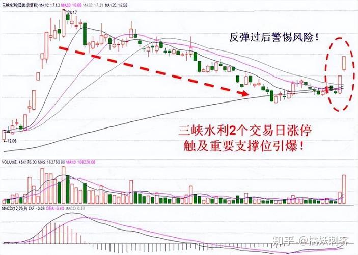 嘉实远见精选今日净值天天基金网（基金中邮成