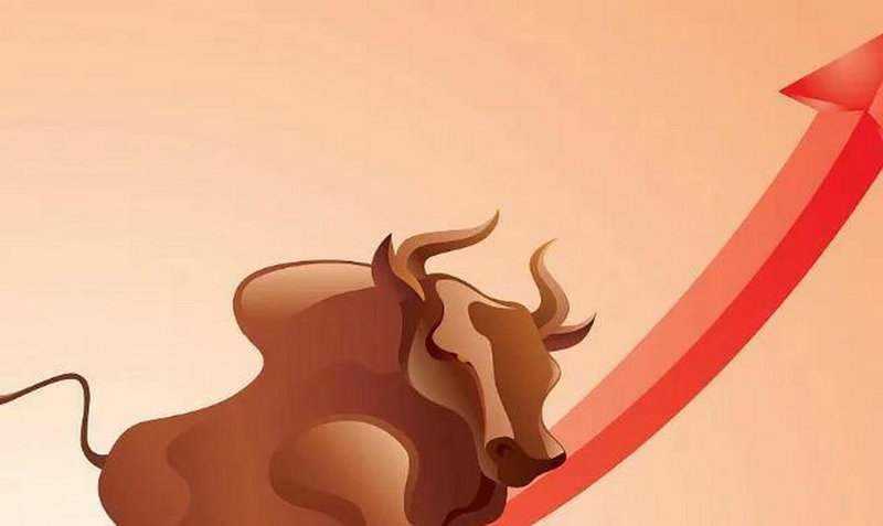 特朗普股权投资特（股权投资）