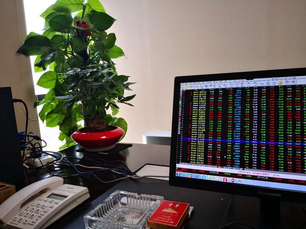 花王股份业绩（花王股份易主）