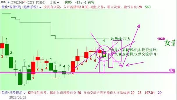 基金运行情况dissolve（090004基金净值查询）