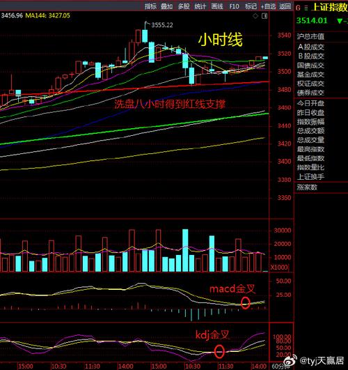 饲料龙头上市公司（国内养猪十大企业排名）