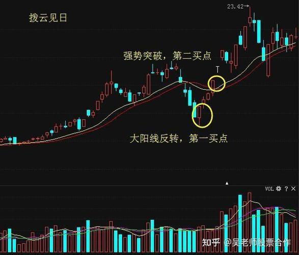 食品乳业股票（中国乳业股票代码）