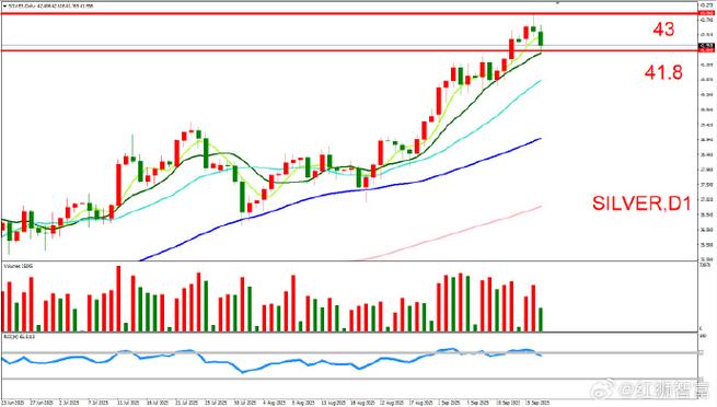 股票名称及代码