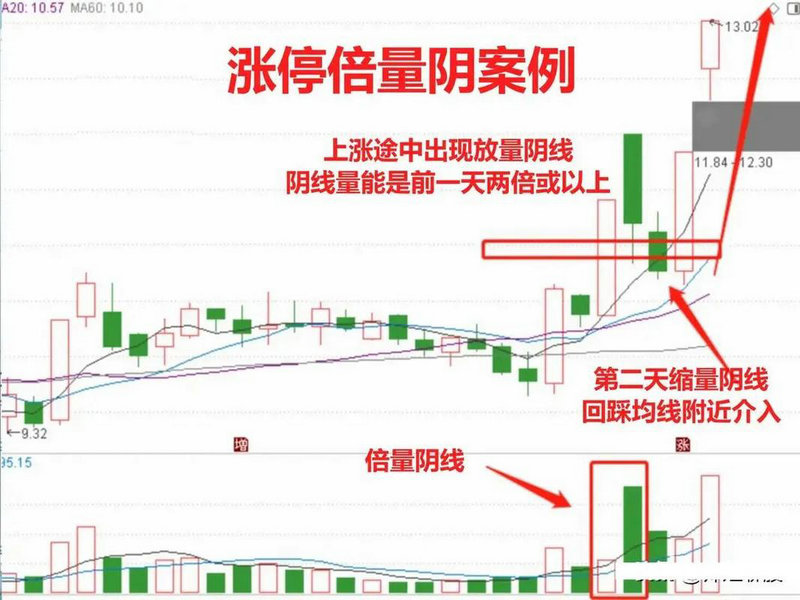 今日新股申购一览表（2020年9月11日）附打新攻略