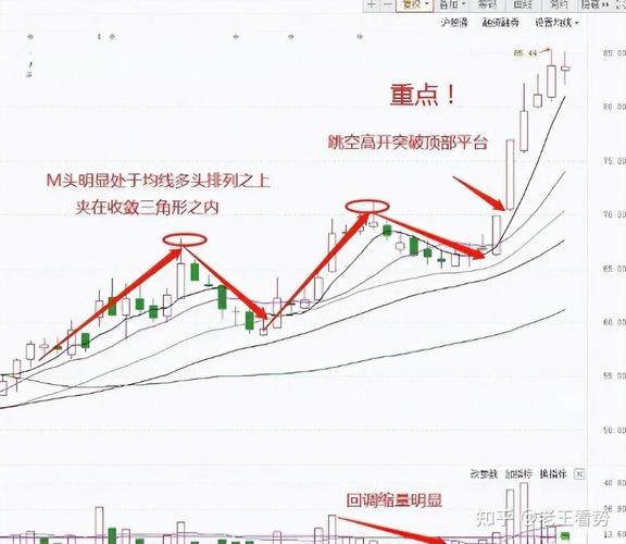 湖南南新制药上科创吗（南新制药股东）