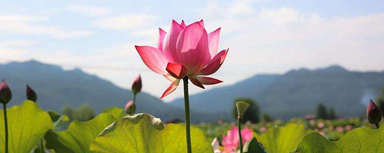 st六化行情（雅化集团股票行情走势网易）