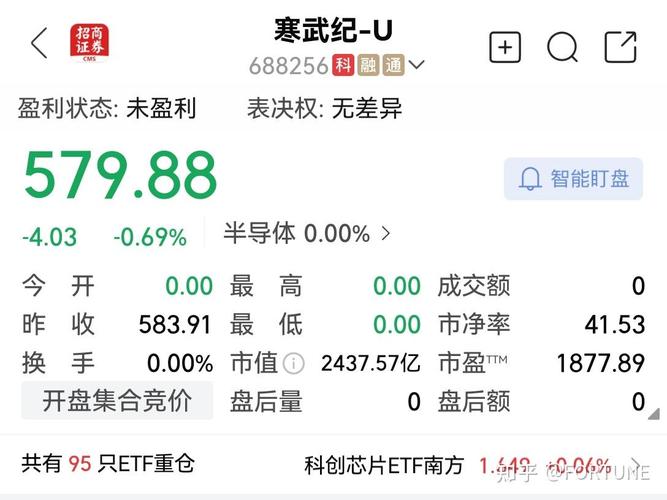 深圳创业板上市公司（沪深股市上市公司）