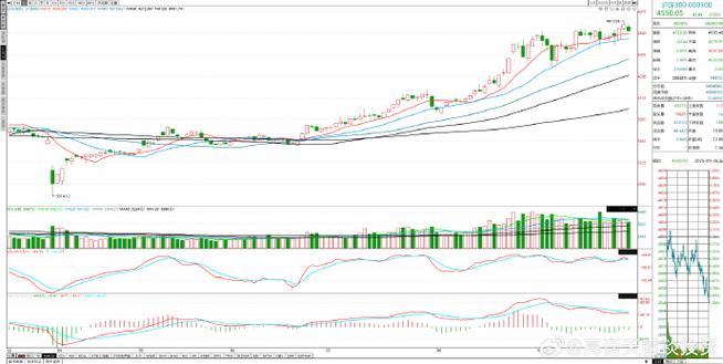 苏州上市公司数量（苏州上市公司排名榜）