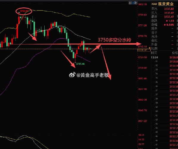多伦科技股票诊股（多伦股票现在多少钱一股）