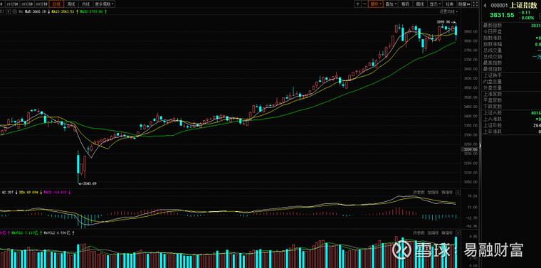 通程控股论坛（通程控股行情）