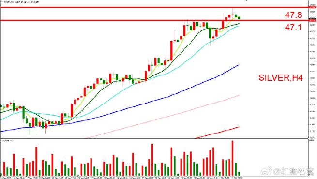 证券认证密码是什么（忘记证券账号怎么办）