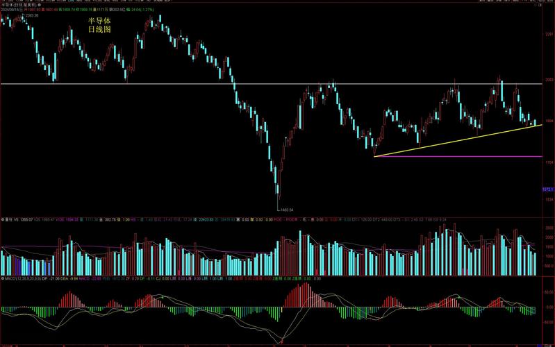 她理财小目标怎么样（她理财的钱拿出来）