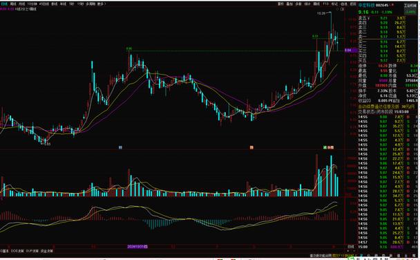 债券二级市场回调是什么意思（债券二级市场主