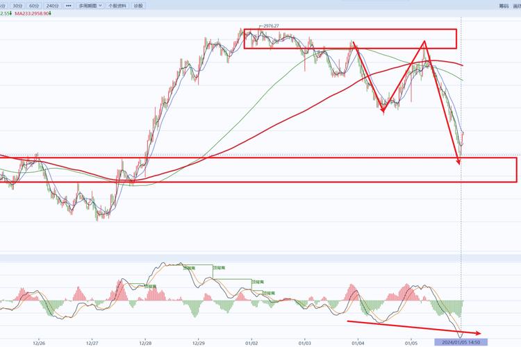 股票的基金资产是什么意思（基金是不是股票）