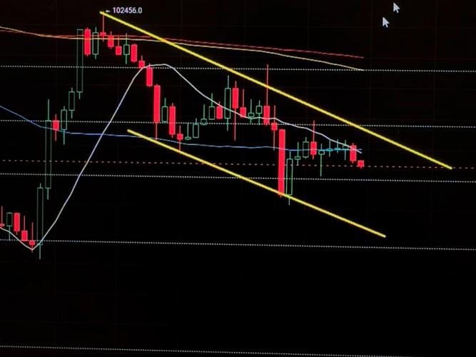 股权结构怎么写（股权结构是什么）