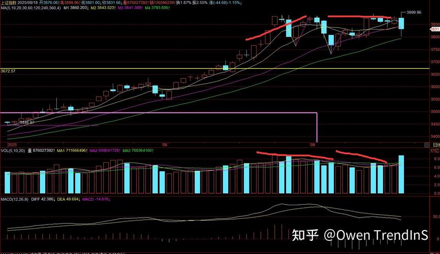中安股票什么公司（st中安科股份股吧）