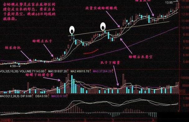 国泰君安丁丹视频（国泰君安行研）