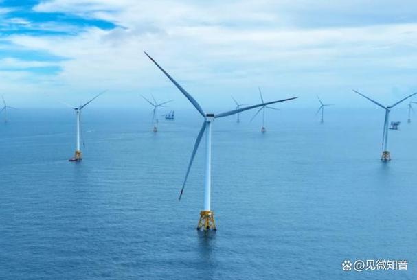 武夷山大红袍上市公司（武夷山股票是哪个公司