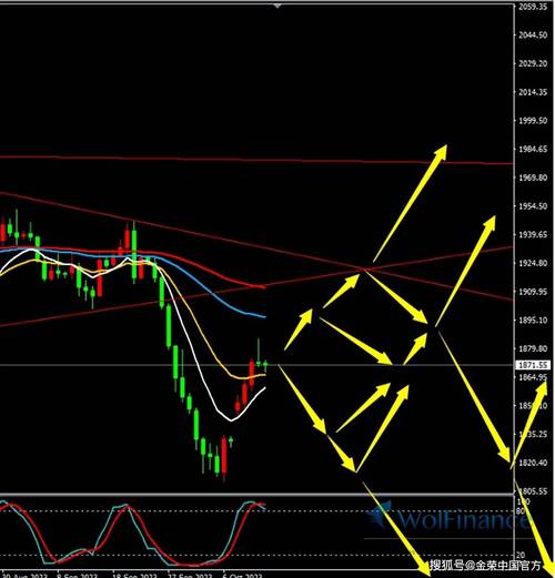 兴全合宜基金经理 兴全合宜基金净值163417