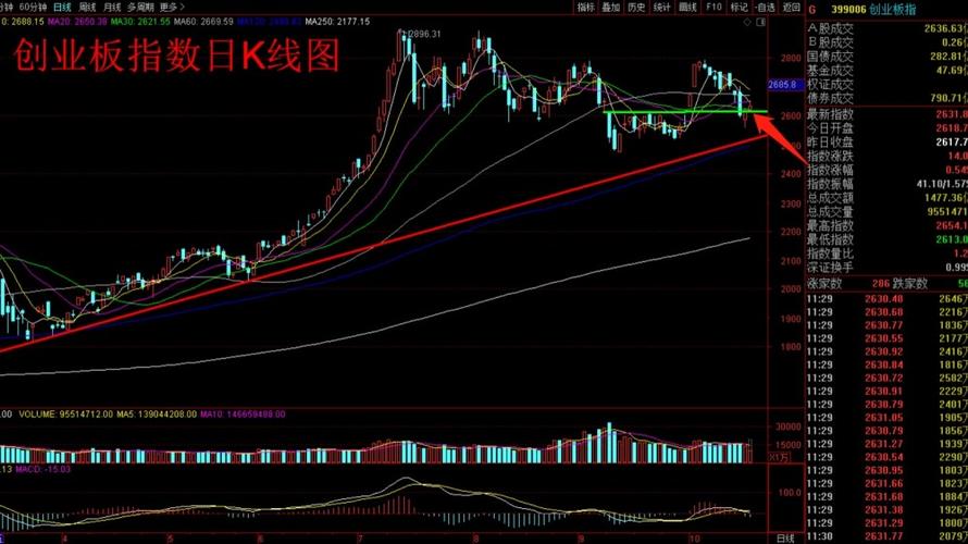 50etf股吧（科技50etf代码）