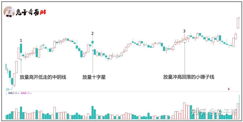 基金公司qdii排名（qdii海外基金有哪些）
