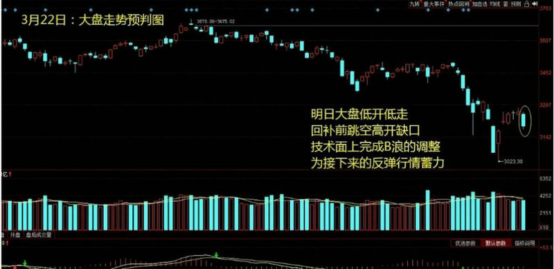 股票什么叫除权怎么看k线（上除权和下除权是什