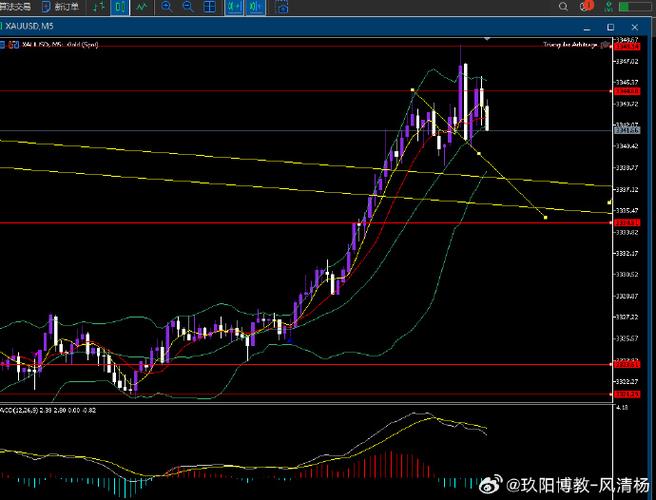 股票期权个税案例（股票期权个人所得税计算）