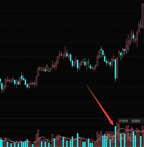 哪里看上证平均市盈率（上证市盈率怎么查）