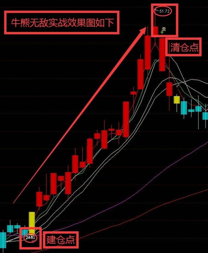 上市公司指定披露媒体（披露上市公司信息的网