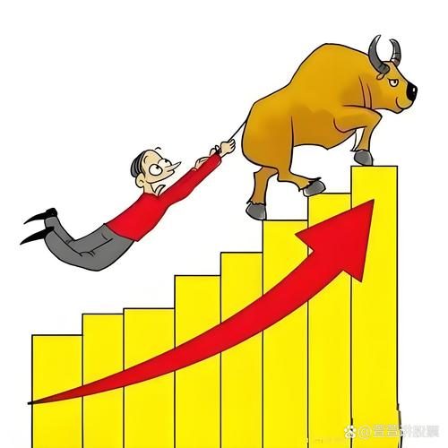 认购上市公司非公开发行股票（非公开发行股票