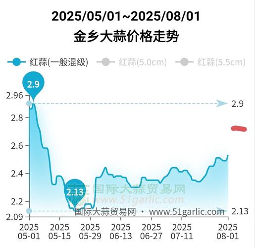 证券发行市场是无形市场（证券市场的特征）