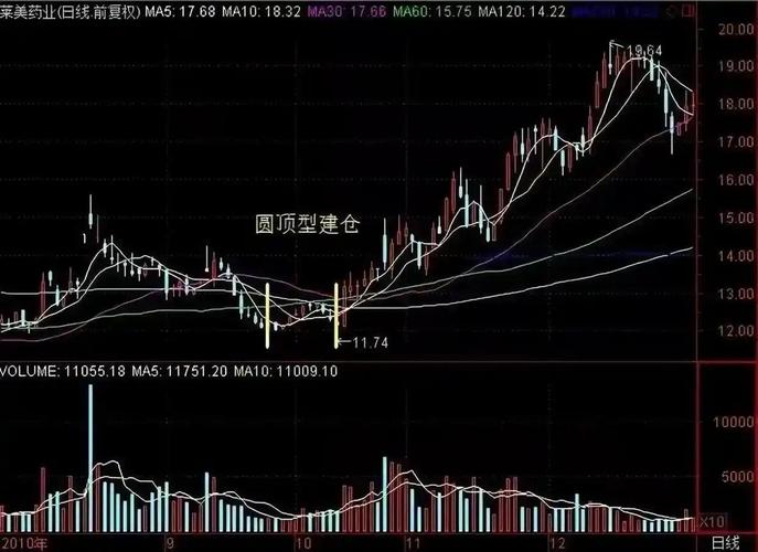 混合型投资基金的投资策略（货币性投资基金的