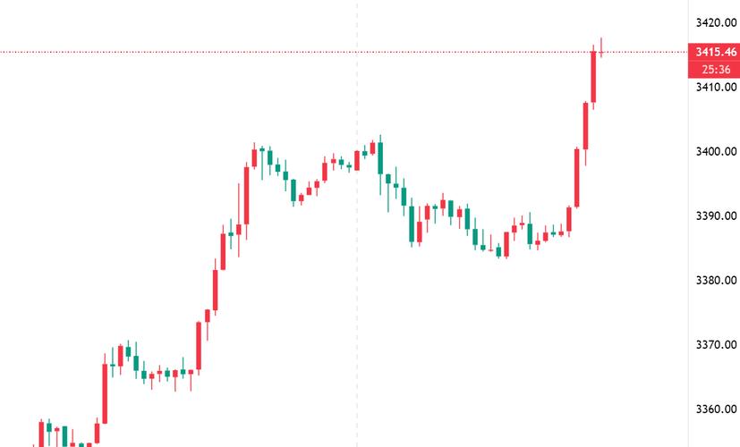 中国天楹集团上市（天楹严圣军）