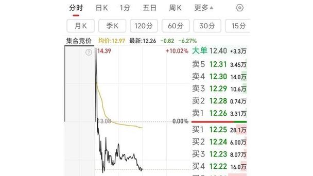 科创板股票单笔买入申报数量（科创板股票盘后