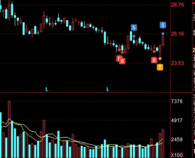 参股免税名词解释（中国免税概念股票）