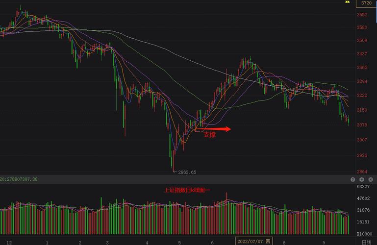股份和分红怎么算（百分之5股份分红怎么算）