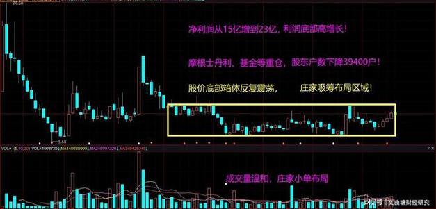 11月18号上市新股（新股上会情况一览表）