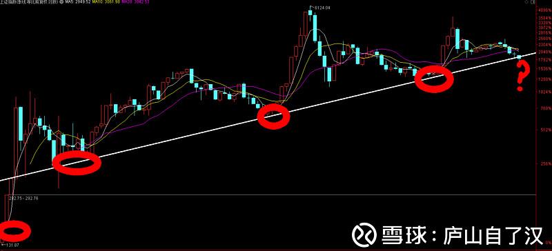 雪花啤酒股票代码多少（中国啤酒龙头股）