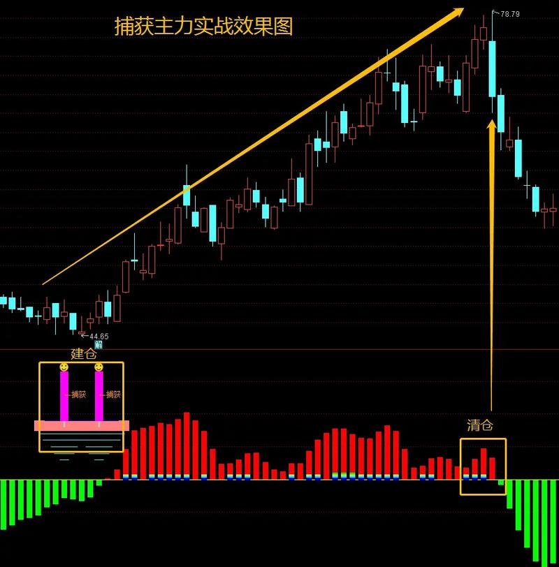 私募基金爆雷业务员责任（私募基金爆雷受害者