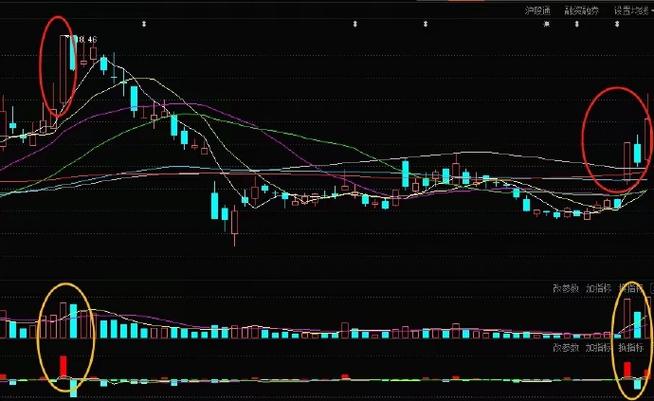 债券市场调整（中国债券市场债券品种）